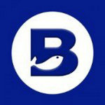 Bybit交易所数字资产安全管理与高效交易