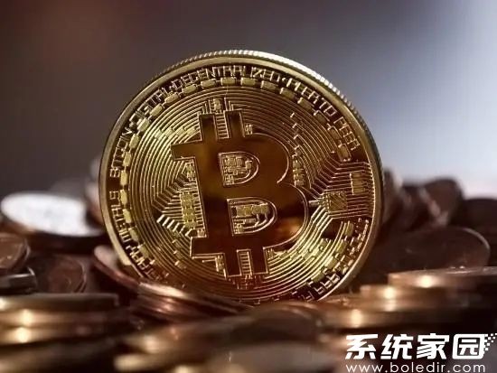 bika币钱包下载