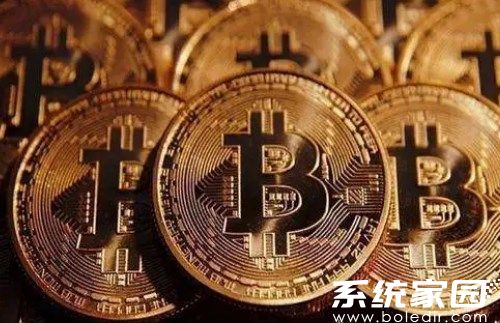 rose币中文版界面
