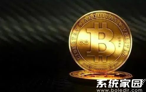 维卡币投资风险警示图解