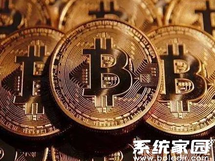 数字资产终端