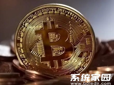 安全验证流程示意