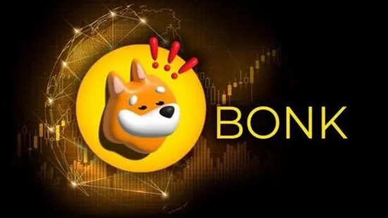 BONK币发行价格与市场动态解析