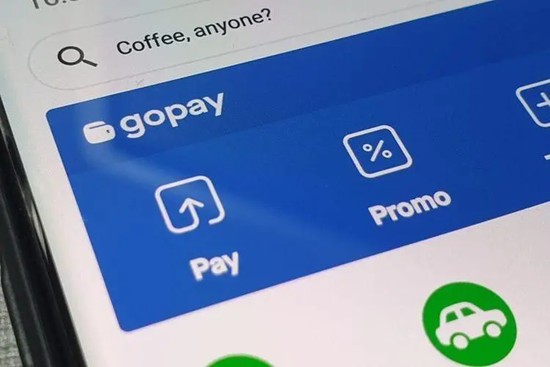 GOPay钱包操作界面示意图
