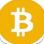 BSV钱包苹果版安全便捷的数字资产管理v1.6.0 官网版