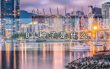 BT种子定义与功能