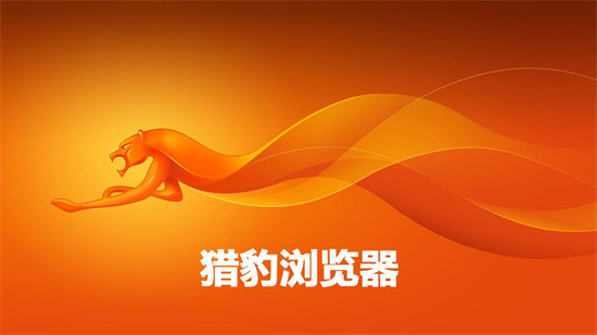 猎豹浏览器安全性能深度评测