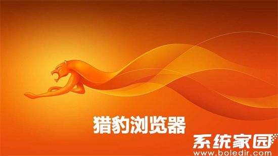 猎豹浏览器安全功能解析
