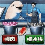 鲨鱼怪谈无限体力版v1.0 无限体力版