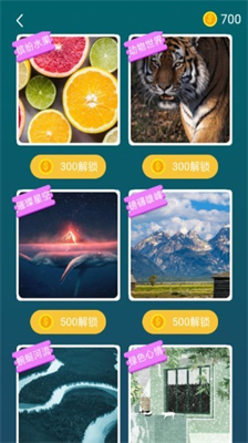 u738bu724cu62fcu56feu65e0u5e7fu544au514du8d39u7248