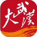 武汉市民生活服务掌上平台推荐