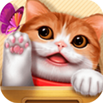 花样猫咪治愈系养成手游推荐v2.5 无限金鱼版