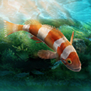 水族设计师手游设计与经营v1.0.0 内购版