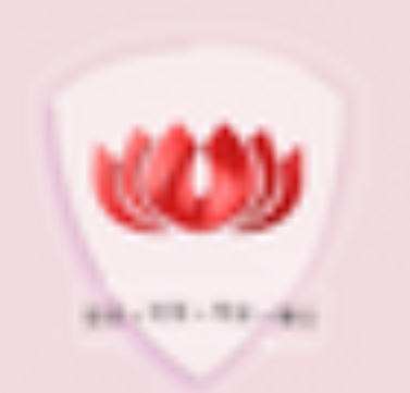 红莲花安全浏览器PC端下载