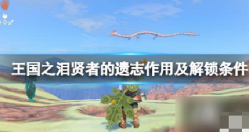 贤者技能展示图