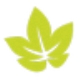 高效多图文字识别工具推荐