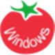 Windows11极速安装工具推荐