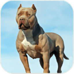 比特犬模拟器城市探索v1.0.4 安卓版