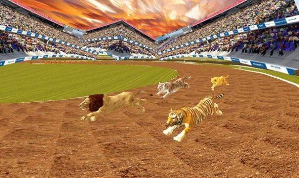 u75afu72c2u4e1bu6797u52a8u7269u7adeu901f(wild lion dog tiger animal)