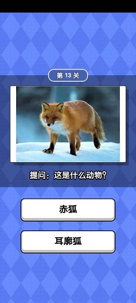 u52a8u7269u6ed1u6ed1u4e50u624bu6e38